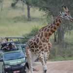 Wildlife in Akagera National Park
