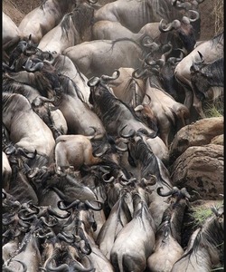 10-Day Kenya Adventure Safari
