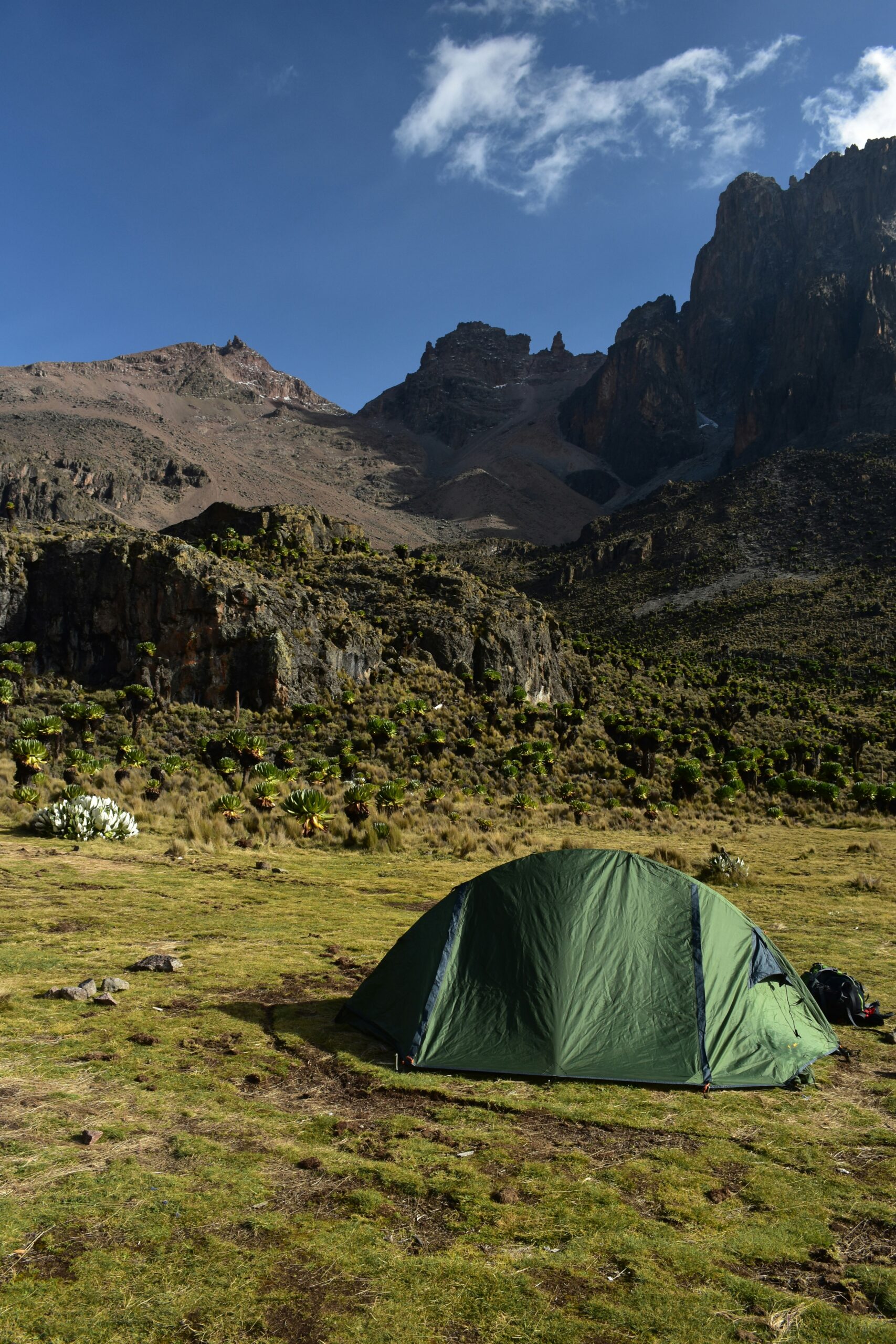 Mount Kenya National Park