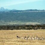 Bugili Tracks Fossil Hunting Experience in Semuliki National Park