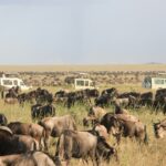 Serengeti National Park