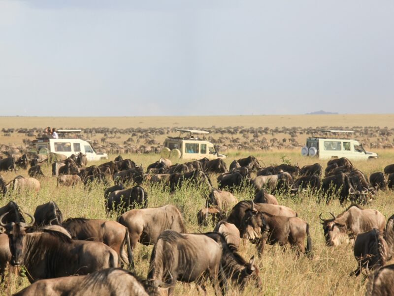 Serengeti National Park