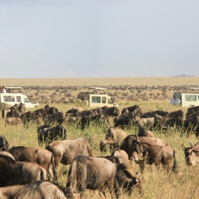 Serengeti National Park