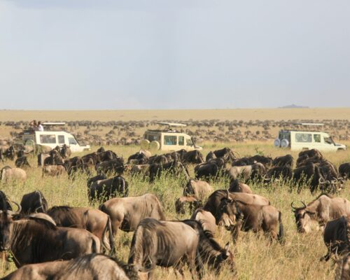 Serengeti National Park