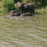 Queen Elizabeth National Park