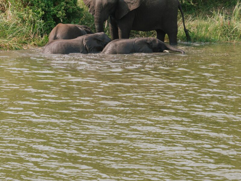 Queen Elizabeth National Park
