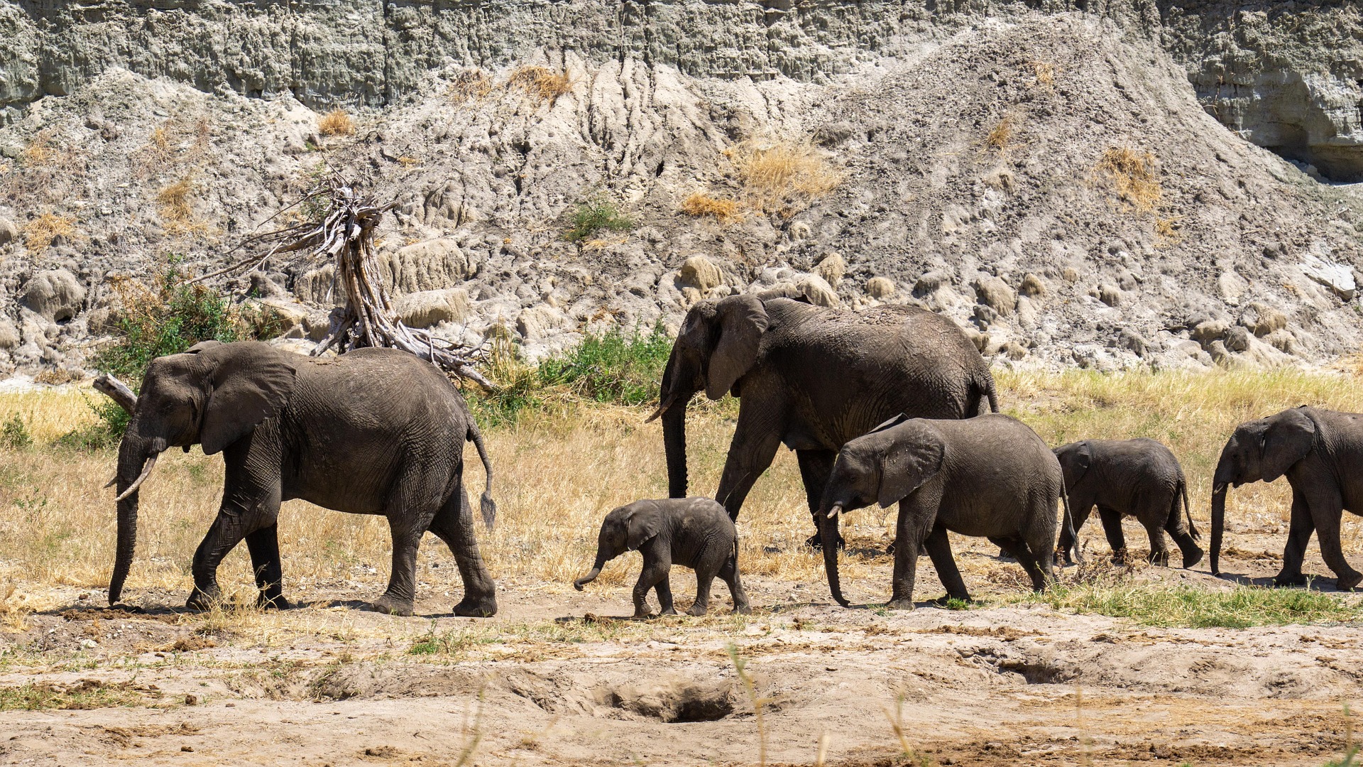 Masai Mara