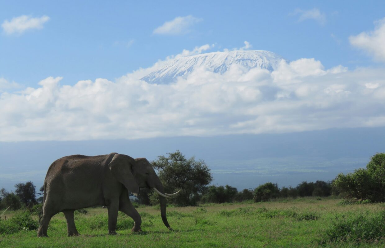 Where Do I Walk in Queen Elizabeth National Park