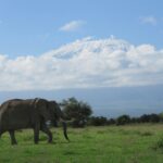Where Do I Walk in Queen Elizabeth National Park