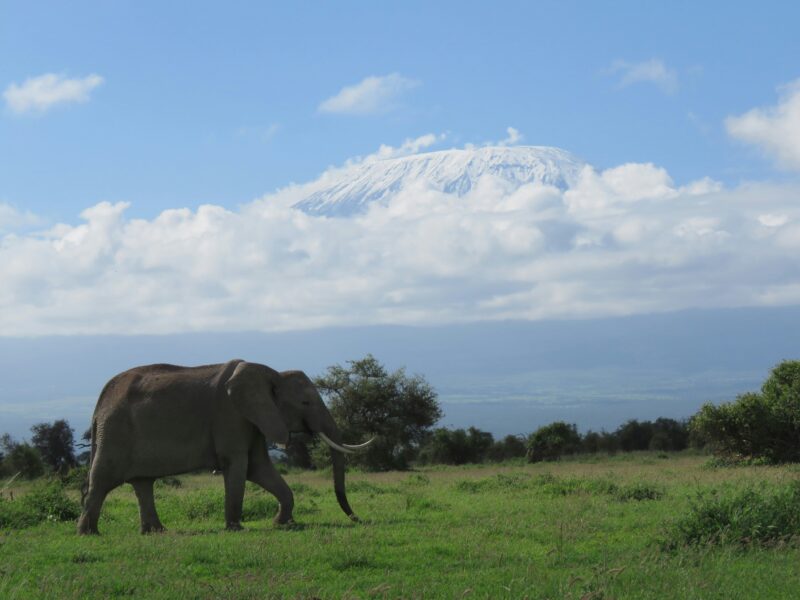 Where Do I Walk in Queen Elizabeth National Park
