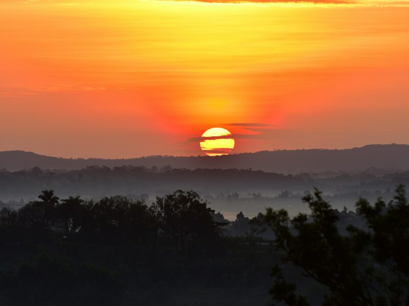 Night Drives in Murchison Falls National Park