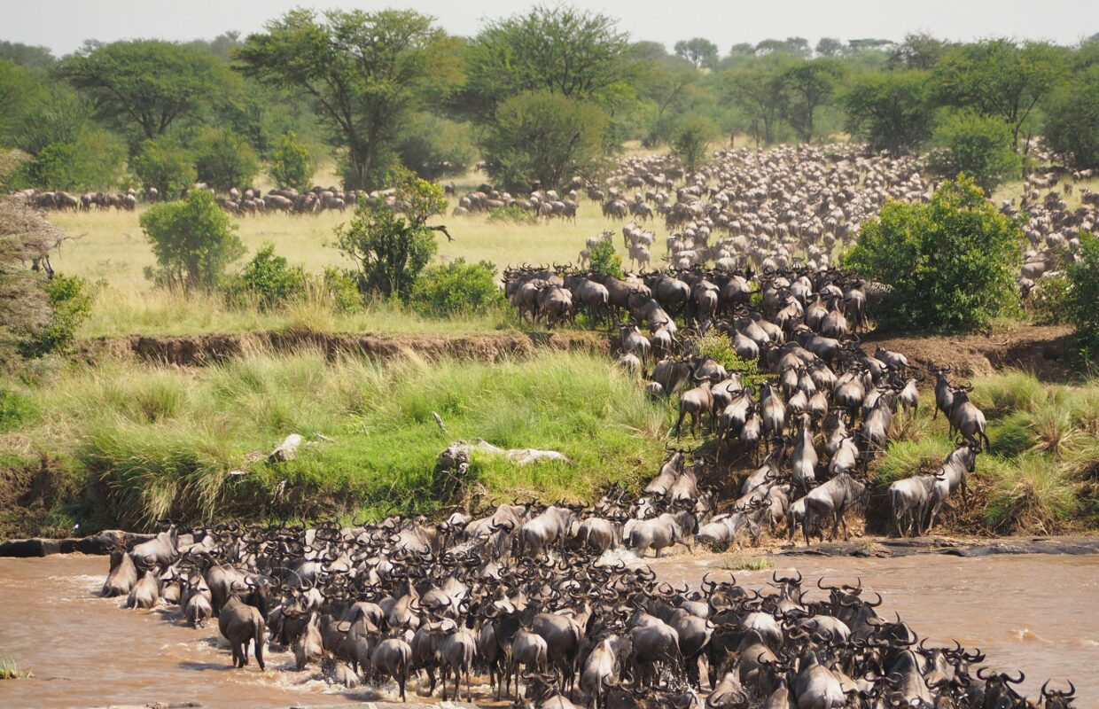 Uganda Beyond Gorillas
