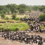 Uganda Beyond Gorillas