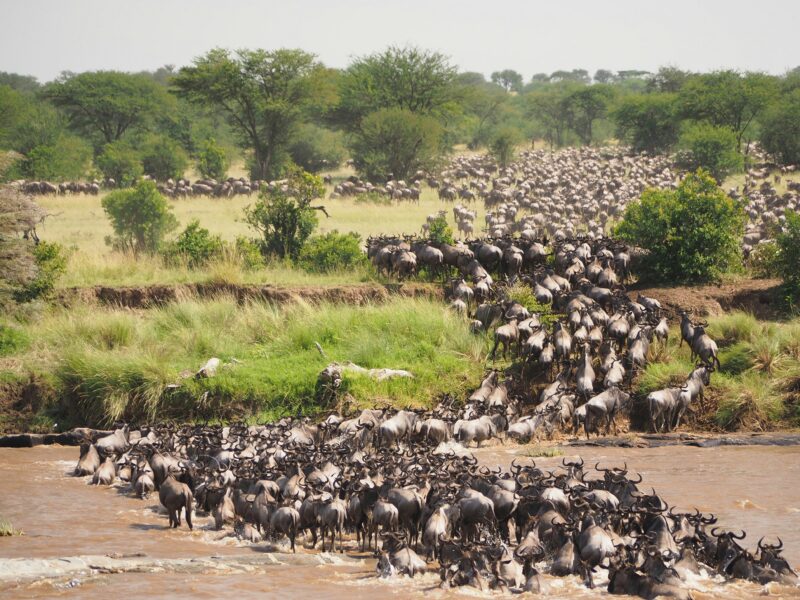 Uganda Beyond Gorillas