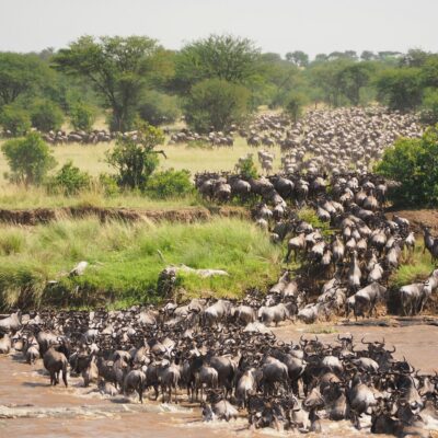 Uganda Beyond Gorillas