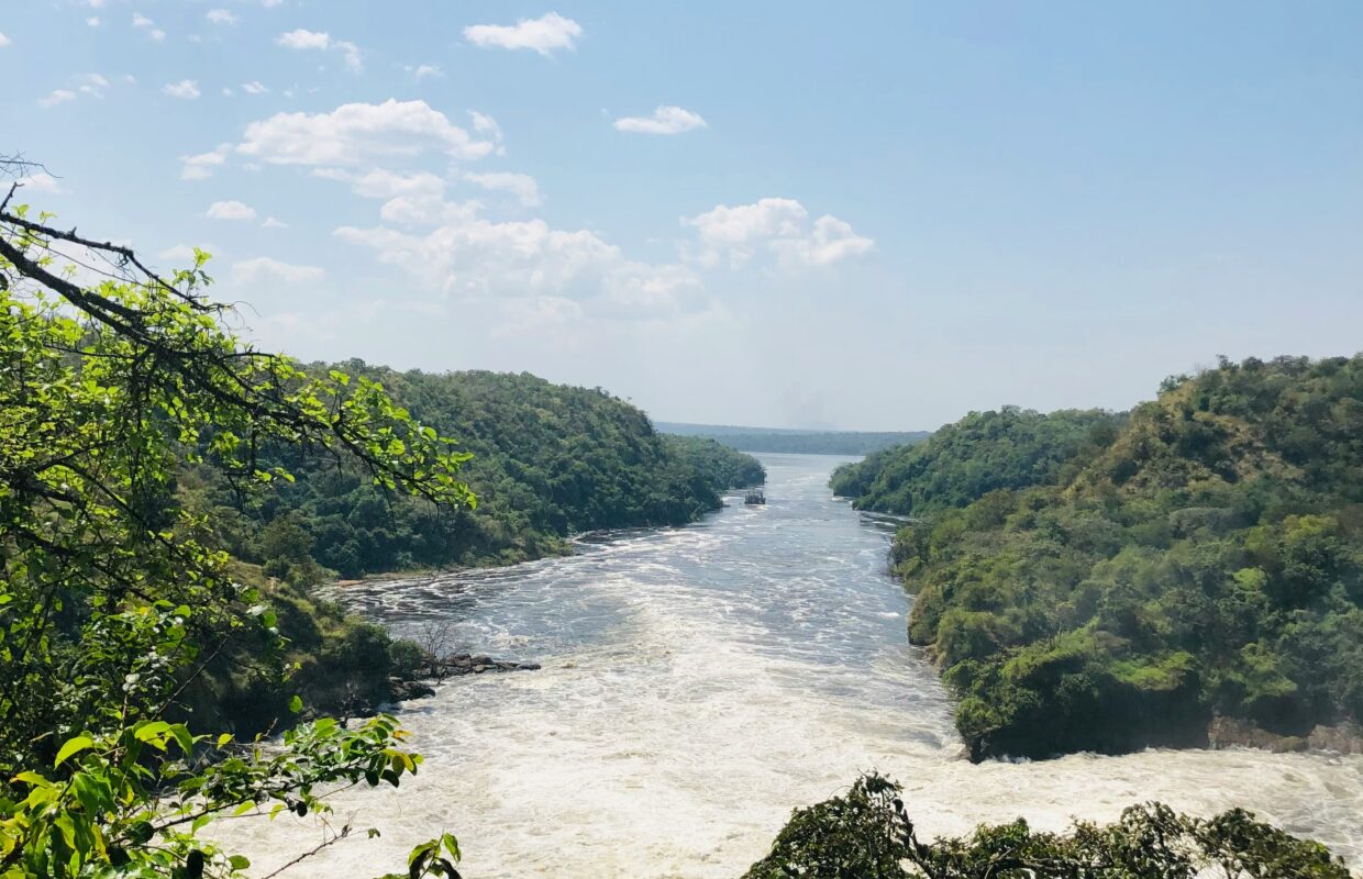 Chobe Crocodile Farm in Murchison Falls National Park