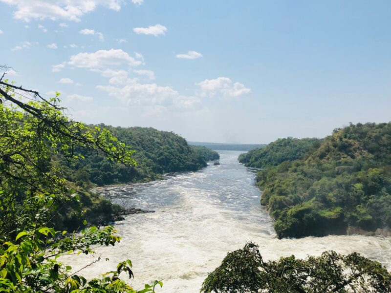 Chobe Crocodile Farm in Murchison Falls National Park