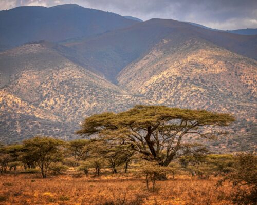 Ngorongoro Crater Conservation Area