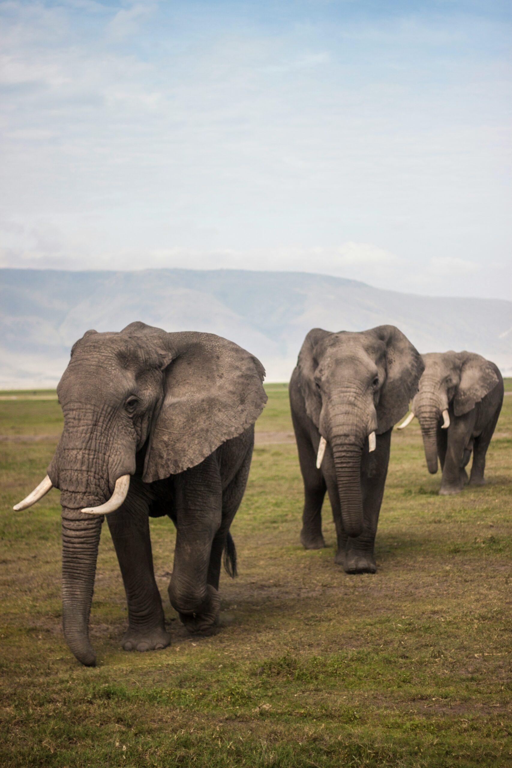 Amboseli National Park