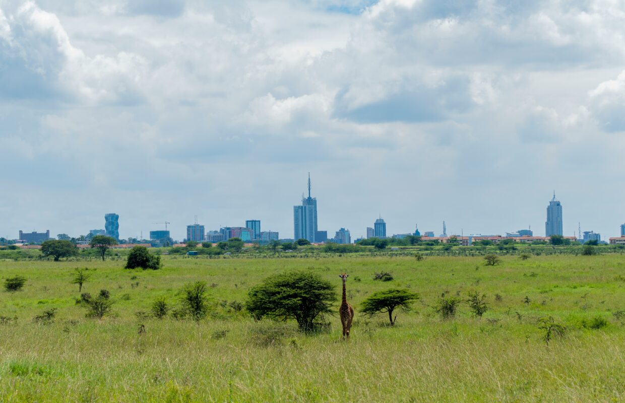 Why the Other 7 National Parks in Uganda Lack Giraffes