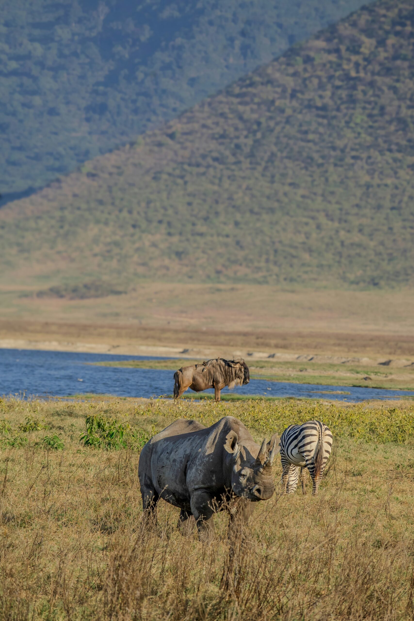 Masai Mara