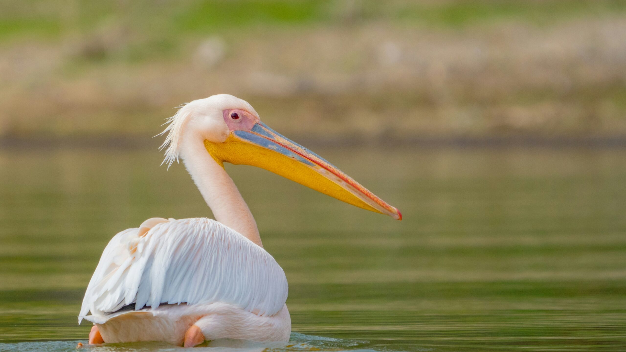 Lake Naivasha & Hell’s Gate National Park