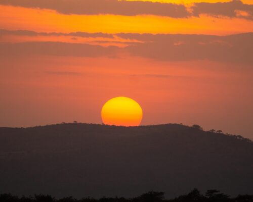 Night Life in Lake Mburo National Park