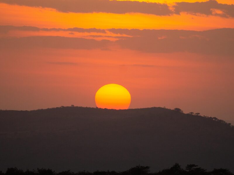Night Life in Lake Mburo National Park