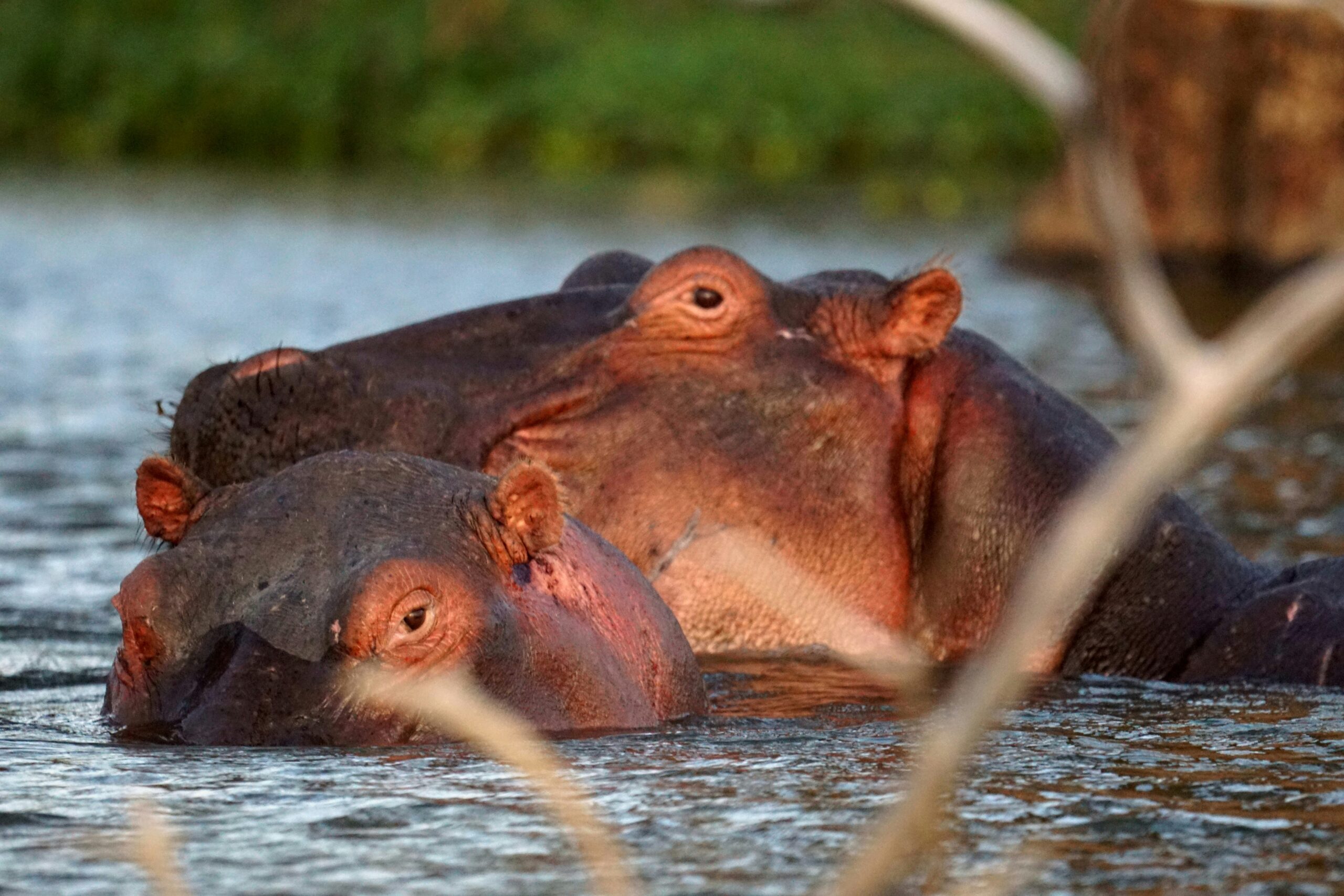Lake Naivasha & Hell’s Gate National Park