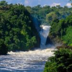 Sport Fishing in Murchison Falls National Park