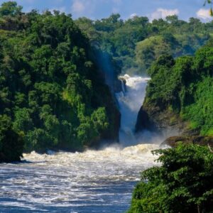 Sport Fishing in Murchison Falls National Park