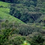Top of the Falls Hike in Murchison Falls National Park