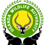 UWA Snare Removal Experience in Uganda 