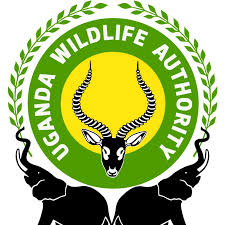 UWA Snare Removal Experience in Uganda 