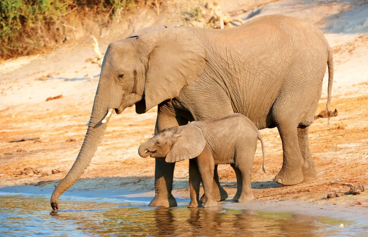 Amboseli National Park