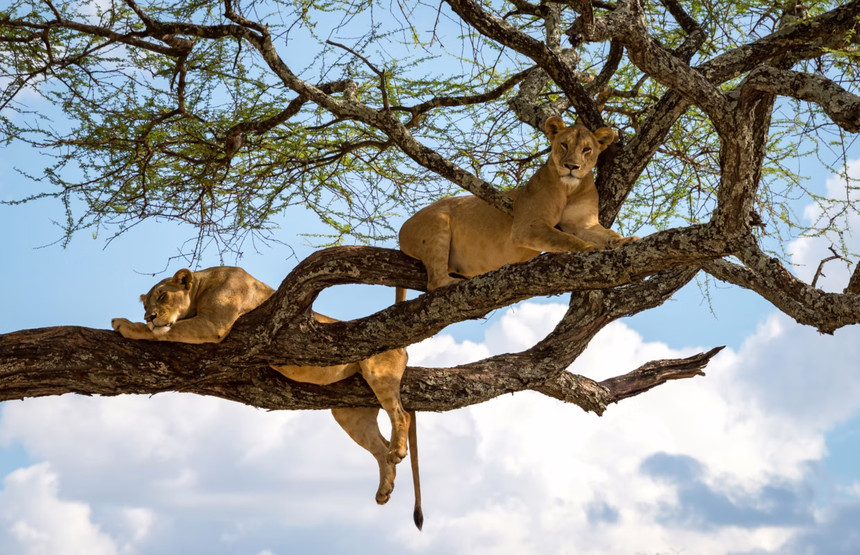 Culture in Queen Elizabeth National Park