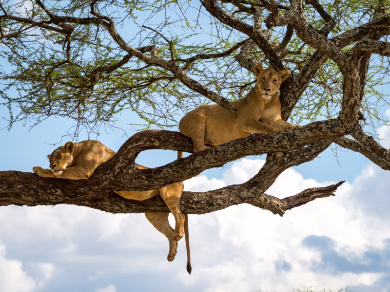 Culture in Queen Elizabeth National Park