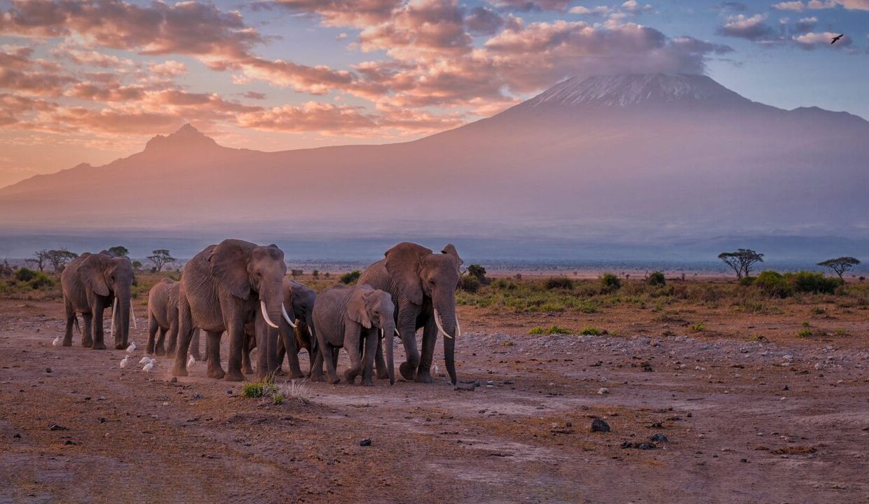 Lake Mburo Island Camping