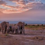 Lake Mburo Island Camping
