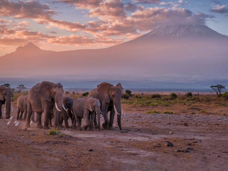 Lake Mburo Island Camping