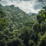 Garama Cave and the Batwa Trail Experience in Mgahinga