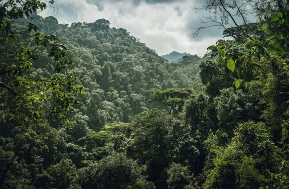 Garama Cave and the Batwa Trail Experience in Mgahinga
