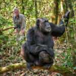Bwindi Lens Limit