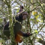 Mgahinga National Park