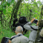 Can I Take Photographs During Gorilla Trekking?