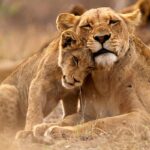 Culture in Queen Elizabeth National Park