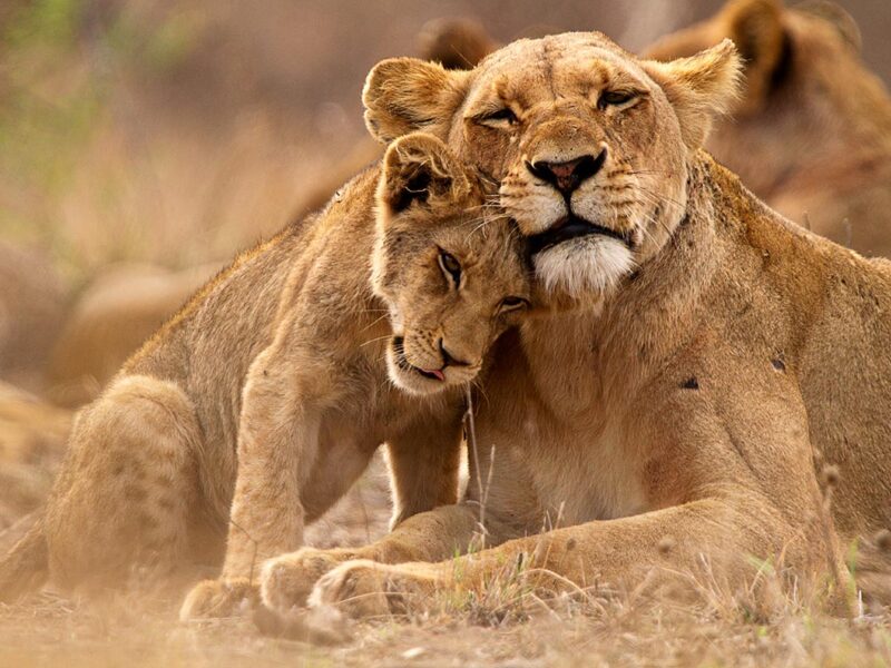 Culture in Queen Elizabeth National Park