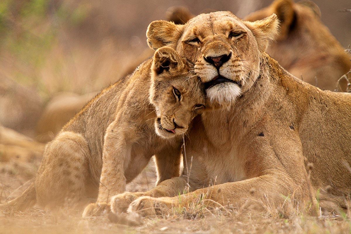 Culture in Queen Elizabeth National Park