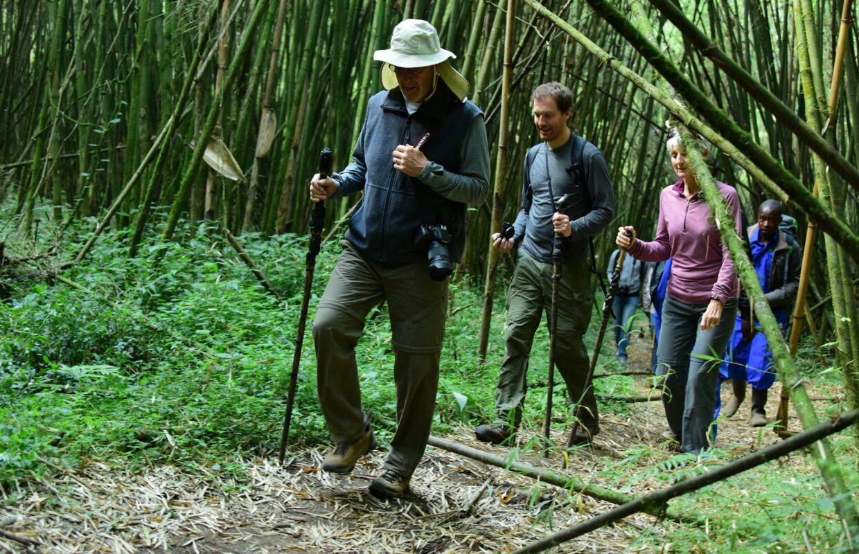 Is Rhino Tracking Safe in Ziwa Rhino Sanctuary? 