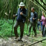 Is Rhino Tracking Safe in Ziwa Rhino Sanctuary? 